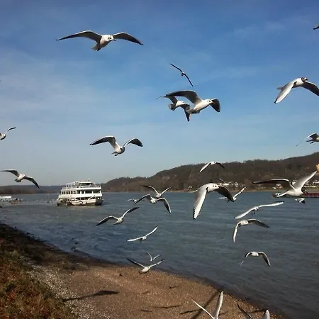 Rheinischer Hof 3*
