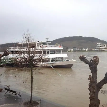מלון Rheinischer Hof 3*