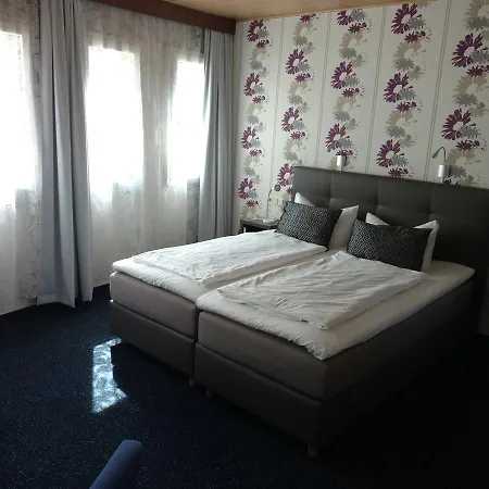 Rheinischer Hof Отель 3*