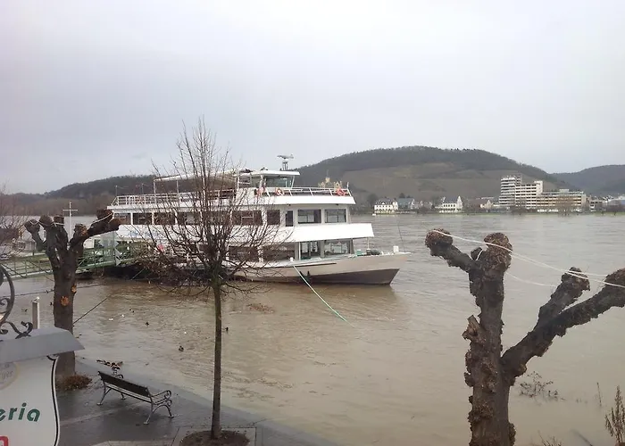 Hotel Rheinischer Hof 3*